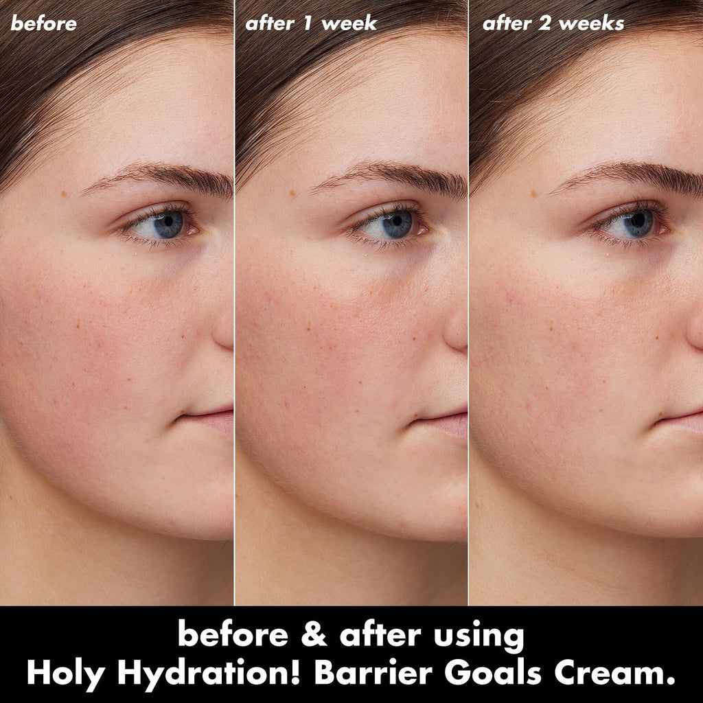 Holy Hydration! Barrier Goals Cream Regular