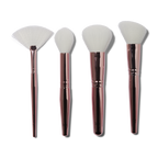 Blush. Bronzer & Highlighter Brush Set