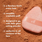 Complexion Perfection Brush Set