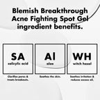 Blemish Breakthrough Acne Fighting Spot Gel
