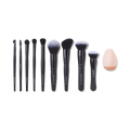 Ten Out of Ten Brush Kit