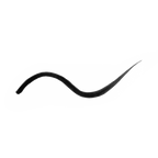 Precision Liquid Eyeliner