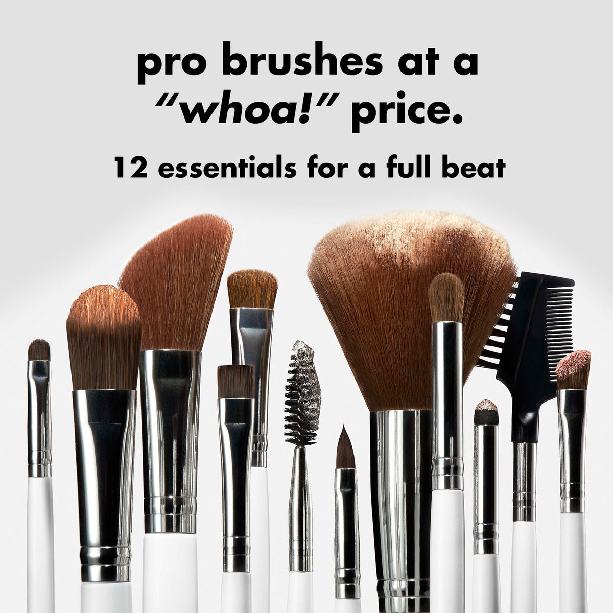 Professional Set of 12 Makeup Brushes